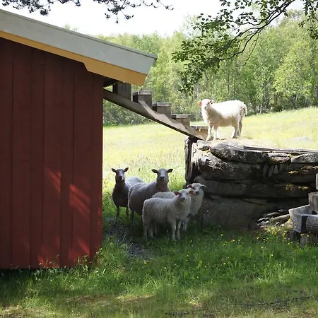 Bustad Hyttetun 3* Skabu