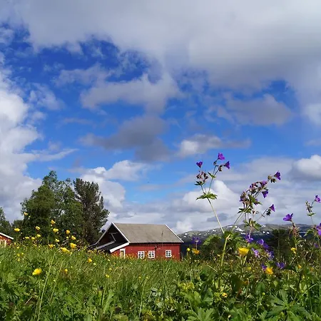 Pensjonat Bustad Hyttetun